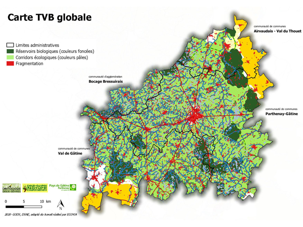 Plan d'actions de la Trame Verte et Bleue (TVB)