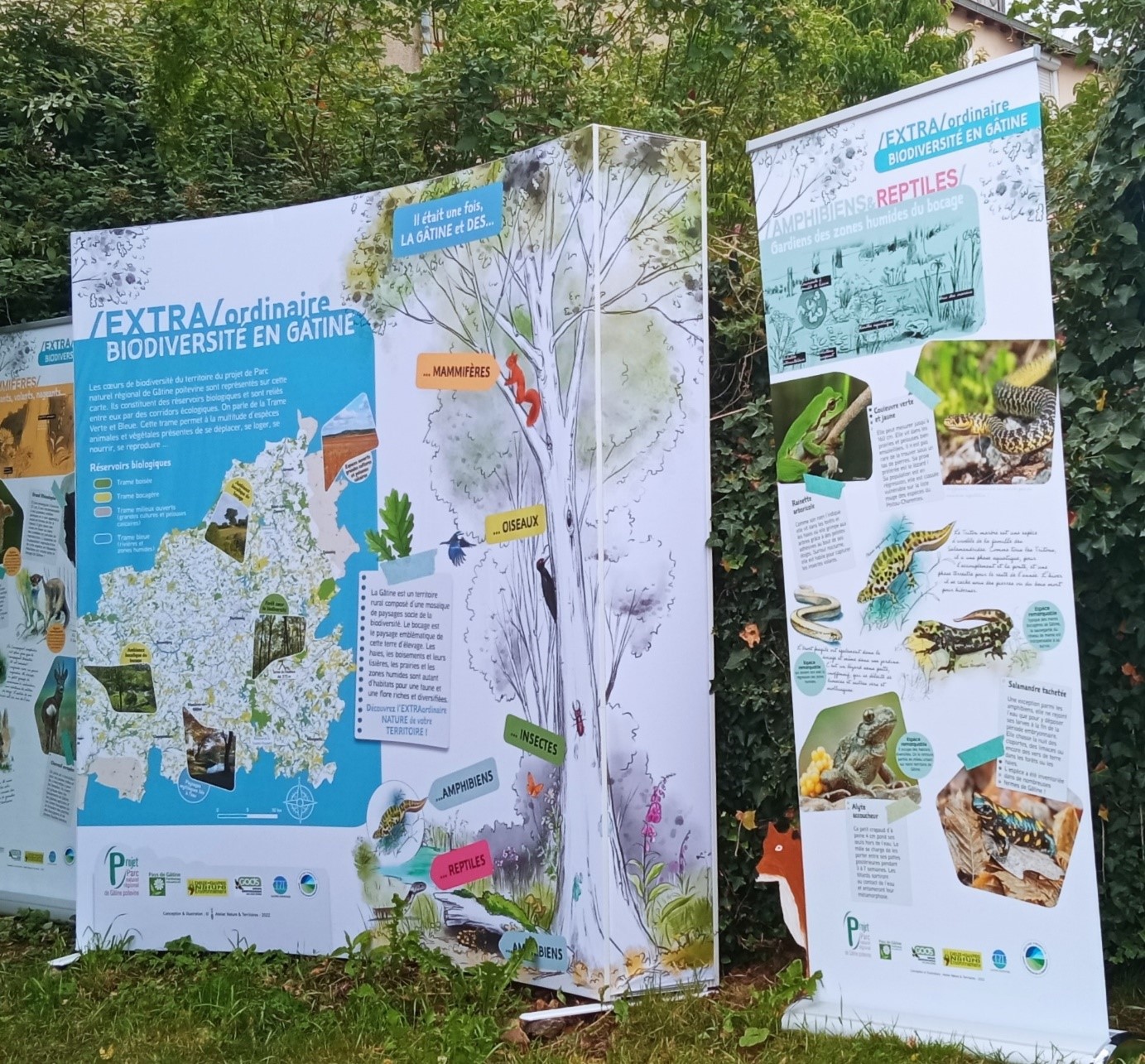 Exposition complète biodiversité de Gâtine